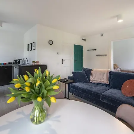 Sniezna 12 Ladek- Zdroj Aparthotel